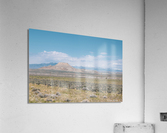 Western Skies  Acrylic Print