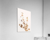 Eucalyptus Gold No 04 Acrylic Print