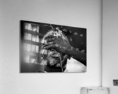 Ritual Acrylic Print