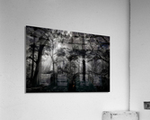 Primary forest Acrylic Print