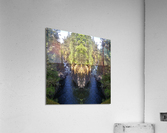 Sacred Deer  Acrylic Print