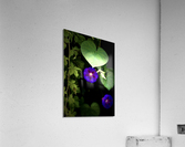 247FB480 0C9E 4C2D B61D DB7CF9616CAC Acrylic Print