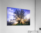 Rays of Light Acrylic Print