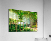 Bamboo Acrylic Print