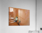 Just Sing Acrylic Print