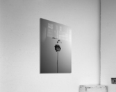 SYMBIOSIS Acrylic Print