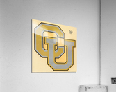 Vintage Fifties Colorado Two Tone CU Decal Art Acrylic Print