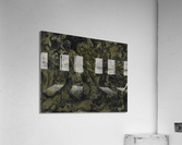 The Arts: Pareidolia  Acrylic Print