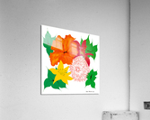 Dahlias in Seattle    Acrylic Print