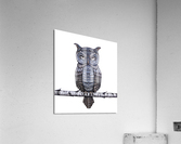 Geo-Owl Acrylic Print