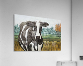 Northumberland Holstein Acrylic Print