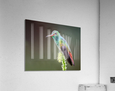 Taking a break from humming  Acrylic Print