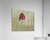 one red flower Acrylic Print