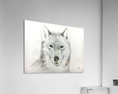 Wolf Acrylic Print