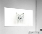 Cat Acrylic Print