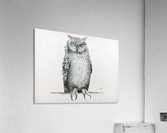 Qwl Acrylic Print