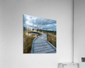 Autumn Walk - 2 Acrylic Print