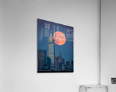Balancing act  Acrylic Print