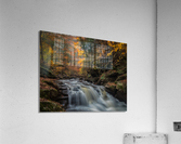 Ricketts Glen in the fall 2  Acrylic Print