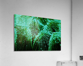 Refresh Acrylic Print