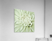 True Love Acrylic Print