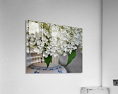 Annabelle Acrylic Print