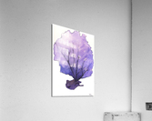 Sea Fan Acrylic Print