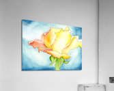 Rainbow Rose Acrylic Print