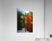 Fiery Maple Acrylic Print