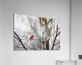 Une tache rouge  Acrylic Print