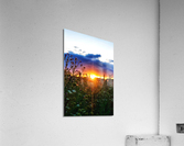 Sunset Horizon Acrylic Print