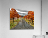 Fall Colours Acrylic Print