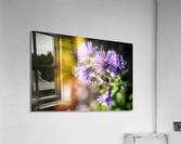 Purple Flower Haze Acrylic Print