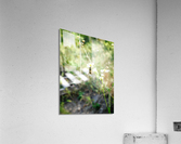 Wasp on Flower Acrylic Print