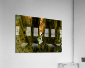 Gem   FINAL JPG Acrylic Print