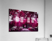 pink lane jpg Acrylic Print