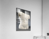 MaleTorso Acrylic Print