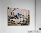 THE WISH POND  Acrylic Print
