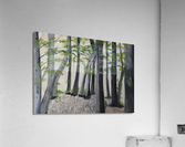 THE TREES  Acrylic Print