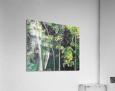 AFRICAN FOREST  Acrylic Print