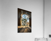 Let the light in  Acrylic Print