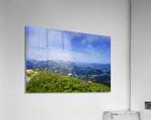 Flowers on Top of the World at Mount Kehlstein in Berchtesgaden in Bavaria Germany Acrylic Print