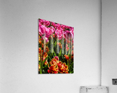 Spring Tulips After the Rain Long Exposure 10 of 16 Keukenhof Netherlands Acrylic Print