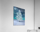 Christmas Moonlight Acrylic Print