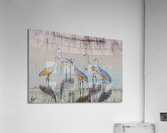 Sandhill Cranes at Sunrise Acrylic Print