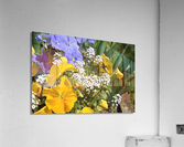 8A15EAFD 0E52 4A96 AD6F 6268405FBCF6 Acrylic Print