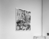 Arabesque 16 Acrylic Print