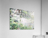 Raintree  Acrylic Print