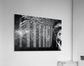 Angel Acrylic Print