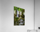 Waterfall In The Forest Acrylic Print